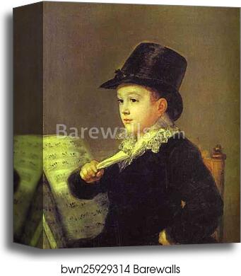 Portrait of Mariano Goya, the Artist's Grandson by Francisco De Goya Y Lucientes, Canvas Print