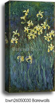 Yellow Irises by Claude Monet, Canvas Print
