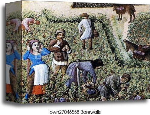 Les trÄ�s riches heures du Duc de Berry. September. Château de Saumur. Detail by Limbourg Brothers, Canvas Print