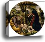 The Adoration of the Christ Child by Sandro Botticelli, Canvas Print