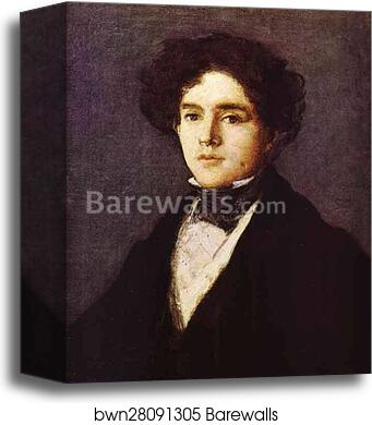 Mariano Goya, the Artist's Grandson by Francisco De Goya Y Lucientes, Canvas Print