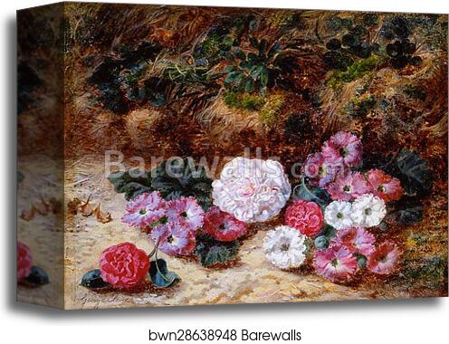 Camellias and Primulas by George Clare, Canvas Print