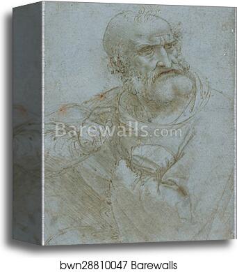 Half-Length Figure of an Apostle, 1493-1495 by Leonardo Da Vinci, Canvas Print