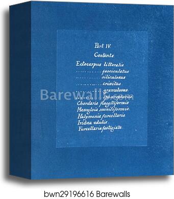 Contents list by Anna Atkins, Canvas Print