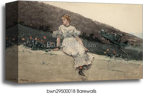 The garden wall by Winslow Homer, Canvas Print