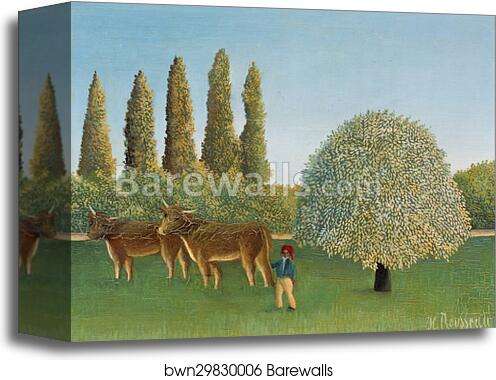 Meadowland (The Pasture) by Henri Rousseau, Canvas Print