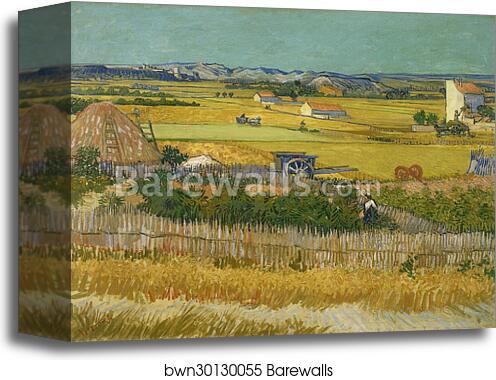 The harvest by Vincent Van Gogh, Canvas Print