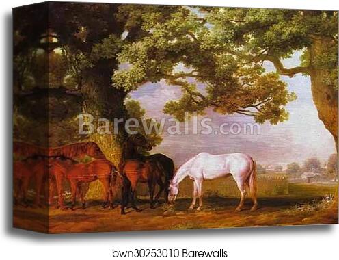 Mares and Foals in a Wooded Landscape by George Stubbs, Canvas Print