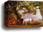 Mares and Foals in a Wooded Landscape by George Stubbs, Canvas Print