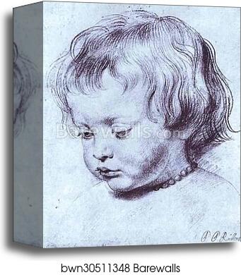 Portrait of a Boy (Nicholas Rubens) by Peter Paul Rubens, Canvas Print