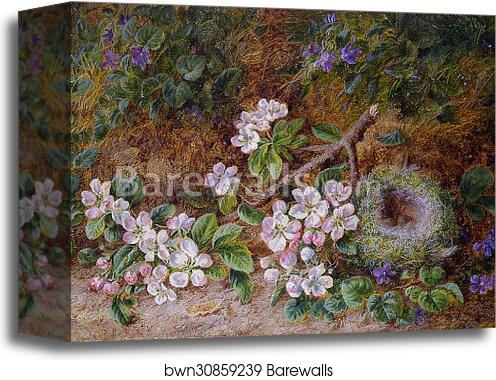 May Blossom and a Bird's Nest by George Clare, Canvas Print