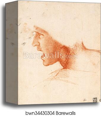 Study of a Warrior's Head for the Battle of Anghiari by Leonardo Da Vinci, Canvas Print Study of a Warrior's Head for the Battle of Anghiari by Leonardo Da Vinci, Canvas Print