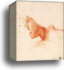 Study of a Warrior's Head for the Battle of Anghiari by Leonardo Da Vinci, Canvas Print