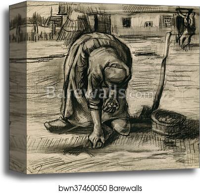 Peasant Woman Planting Potatoes by Vincent Van Gogh, Canvas Print Peasant Woman Planting Potatoes by Vincent Van Gogh, Canvas Print