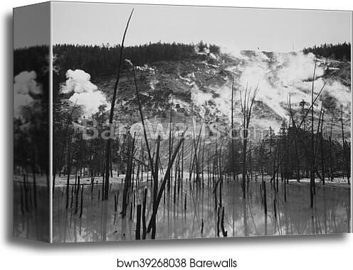Barren tree trunks rising from water in foreground, stream rising from mountains in background, "Roaring Mountain, Yellowstone National Park," Wyoming.  Photographs of National Parks and Monuments, documenting the period ca. 1933 - 1942 by Ansel Adams (1902-1984), Canvas Print