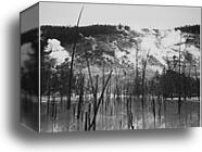 Barren tree trunks rising from water in foreground, stream rising from mountains in background, "Roaring Mountain, Yellowstone National Park," Wyoming.  Photographs of National Parks and Monuments, documenting the period ca. 1933 - 1942 by Ansel Adams (1902-1984), Canvas Print
