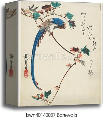 Blue magpie on maple branch by Utagawa Hiroshige, Canvas Print