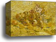 Quinces, lemons, pears and grapes by Vincent Van Gogh, Canvas Print
