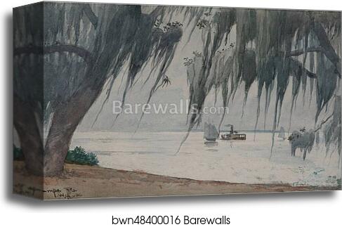 Spanish Moss, Tampa bay, Florida by Winslow Homer, Canvas Print Spanish Moss, Tampa bay, Florida by Winslow Homer, Canvas Print