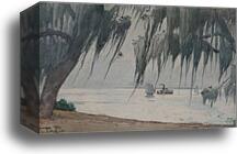 Spanish Moss, Tampa bay, Florida by Winslow Homer, Canvas Print