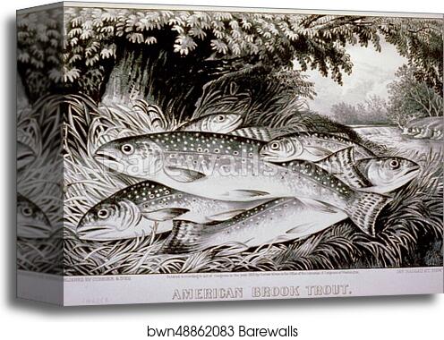 American brook trout. Lithograph by Currier & Ives, Canvas Print American brook trout. Lithograph by Currier & Ives, Canvas Print