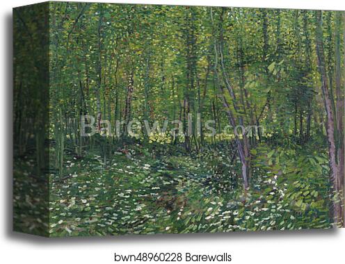 Trees and undergrowth by Vincent Van Gogh, Canvas Print