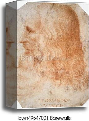 Portrait of Leonardo by Francesco Melzi, Canvas Print