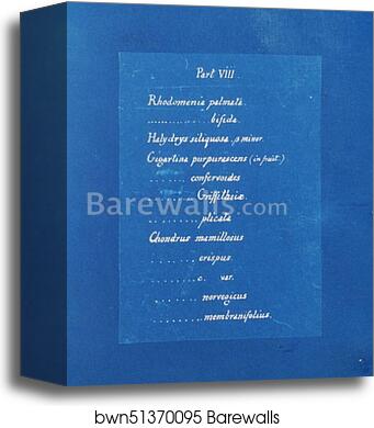 Contents list by Anna Atkins, Canvas Print