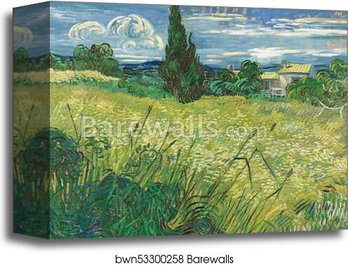 Green Field by Vincent Van Gogh, Canvas Print