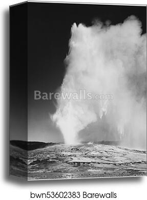 Taken at dusk or dawn from various angles during eruption. "Old Faithful Geyser, Yellowstone National Park," Wyoming. (vertical orientation).  Photographs of National Parks and Monuments, compiled 1941 - 1942, documenting the period ca. 1933 - 1942 by Ansel Adams (1902-1984), Canvas Print Taken at dusk or dawn from various angles during eruption. "Old Faithful Geyser, Yellowstone National Park," Wyoming. (vertical orientation).  Photographs of National Parks and Monuments, compiled 1941 - 1942, documenting the period ca. 1933 - 1942 by Ansel Adams (1902-1984), Canvas Print