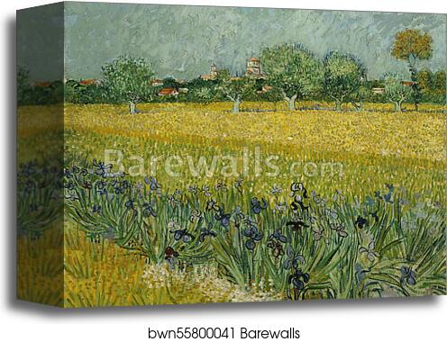 Field with flowers near Arles by Vincent Van Gogh, Canvas Print