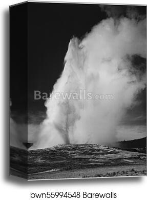 Erupting, against dark sky, "Old Faithful Geyser, Yellowstone National Park," Wyoming. (vertical orientation) by Ansel Adams (1902-1984), Canvas Print