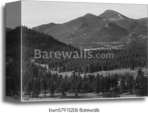 View with trees in foreground, barren mountains in background, "In Rocky Mountain National Park," Colorado.  Photographs of National Parks and Monuments, compiled 1941 - 1942, documenting the period ca. 1933 - 1942 by Ansel Adams (1902-1984), Canvas Print View with trees in foreground, barren mountains in background, "In Rocky Mountain National Park," Colorado.  Photographs of National Parks and Monuments, compiled 1941 - 1942, documenting the period ca. 1933 - 1942 by Ansel Adams (1902-1984), Canvas Print