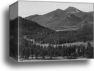 View with trees in foreground, barren mountains in background, "In Rocky Mountain National Park," Colorado.  Photographs of National Parks and Monuments, compiled 1941 - 1942, documenting the period ca. 1933 - 1942 by Ansel Adams (1902-1984), Canvas Print