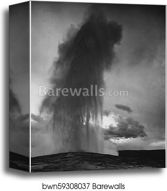 Taken at dusk or dawn from various angles during eruption. "Old Faithful Geyser, Yellowstone National Park," Wyoming. (vertical orientation).  Photographs of National Parks and Monuments, compiled 1941 - 1942, documenting the period ca. 1933 - 1942 by Ansel Adams (1902-1984), Canvas Print