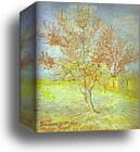 Peach Tree in Bloom. (In memory of Mauve) by Vincent Van Gogh, Canvas Print