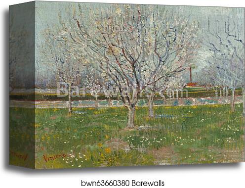 Orchard in Blossom (Plum Trees) by Vincent Van Gogh, Canvas Print