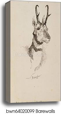 A Pronghorn Antelope by Frederic Remington, Canvas Print