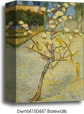 Small pear tree in blossom by Vincent Van Gogh, Canvas Print Small pear tree in blossom by Vincent Van Gogh, Canvas Print