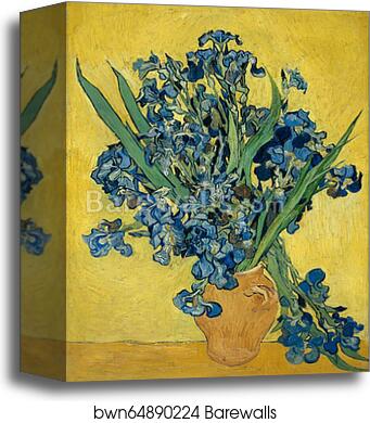 Irises by Vincent Van Gogh, Canvas Print