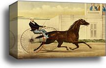 The Celebrated Trotting Mare Lucy by Currier & Ives, Canvas Print