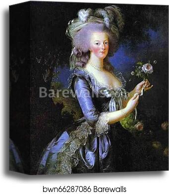 Portrait of Marie Antoinette by Louise-Elisabeth Vigée-Lebrun, Canvas Print