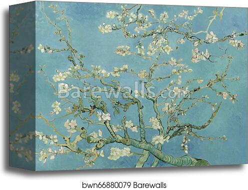 Almond Blossoms by Vincent Van Gogh, Canvas Print