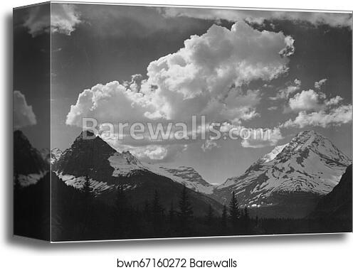 Tops of pine trees, snow covered, "In Glacier National Park," Montana.  Photographs of National Parks and Monuments, compiled 1941 - 1942, documenting the period ca. 1933 - 1942 by Ansel Adams (1902-1984), Canvas Print