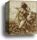 Study for the Kneeling Leda by Leonardo Da Vinci, Canvas Print