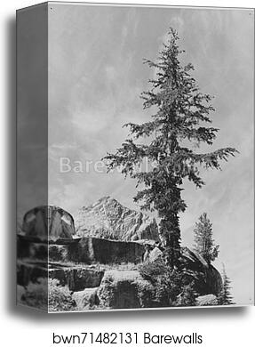 An Unnamed peak, Kings River Canyon (Proposed as a national park), California, 1936. (vertical orientation).  Photographs of National Parks and Monuments, compiled 1941 - 1942, documenting the period ca. 1933 - 1942 by Ansel Adams (1902-1984), Canvas Print