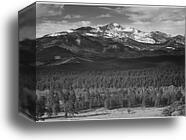 Trees in foreground, snow covered mountain in background, "Long's Peak from North, Rocky Mountain National Park," Colorado.  Photographs of National Parks and Monuments, compiled 1941 - 1942, documenting the period ca. 1933 - 1942 by Ansel Adams (1902-1984), Canvas Print