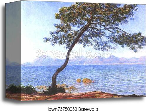 Cap d'Antibes by Claude Monet, Canvas Print