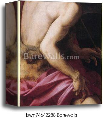 St. John the Baptist by Agnolo Bronzino, Canvas Print
