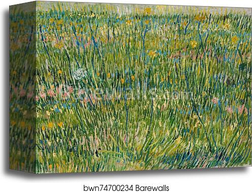Grasgrond Patch of grass by Vincent Van Gogh, Canvas Print